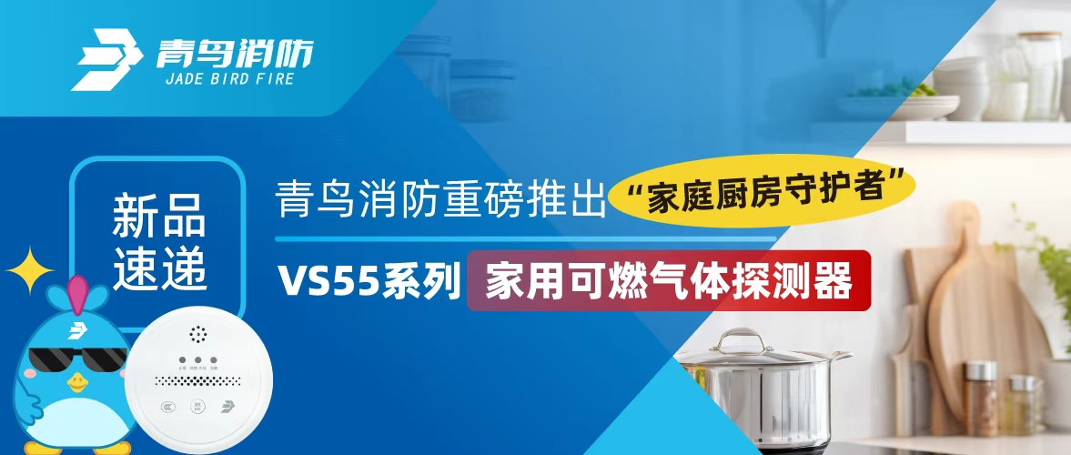 新品速遞 | 青鳥消防重磅推出&ldquo;家庭廚房守護(hù)者&rdquo;&mdash;&mdash;VS55系列家用可燃?xì)怏w探測(cè)器